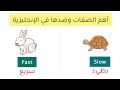 أهم الصفات في اللغة الإنجليزية وضدها    