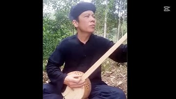This guy plays Đàn Tính very well