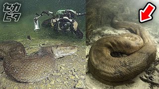 水中で見つかった思いがけない物体１０選