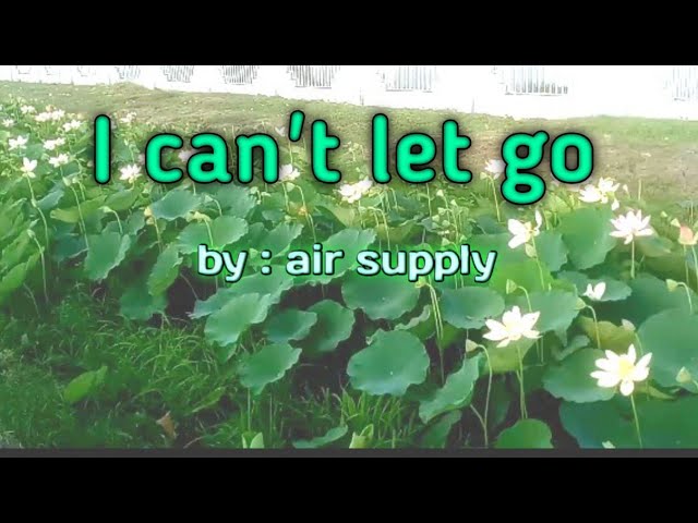 i can't let go,,//#air supply//lyrics video..@@lovesongs### class=