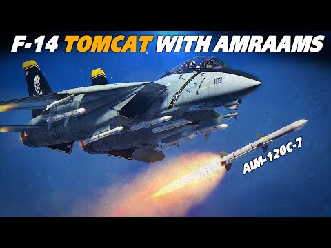 What If The F-14 Tomcat Wasn't Retired | INTERCEPT | Digital Combat Simulator | DCS |
