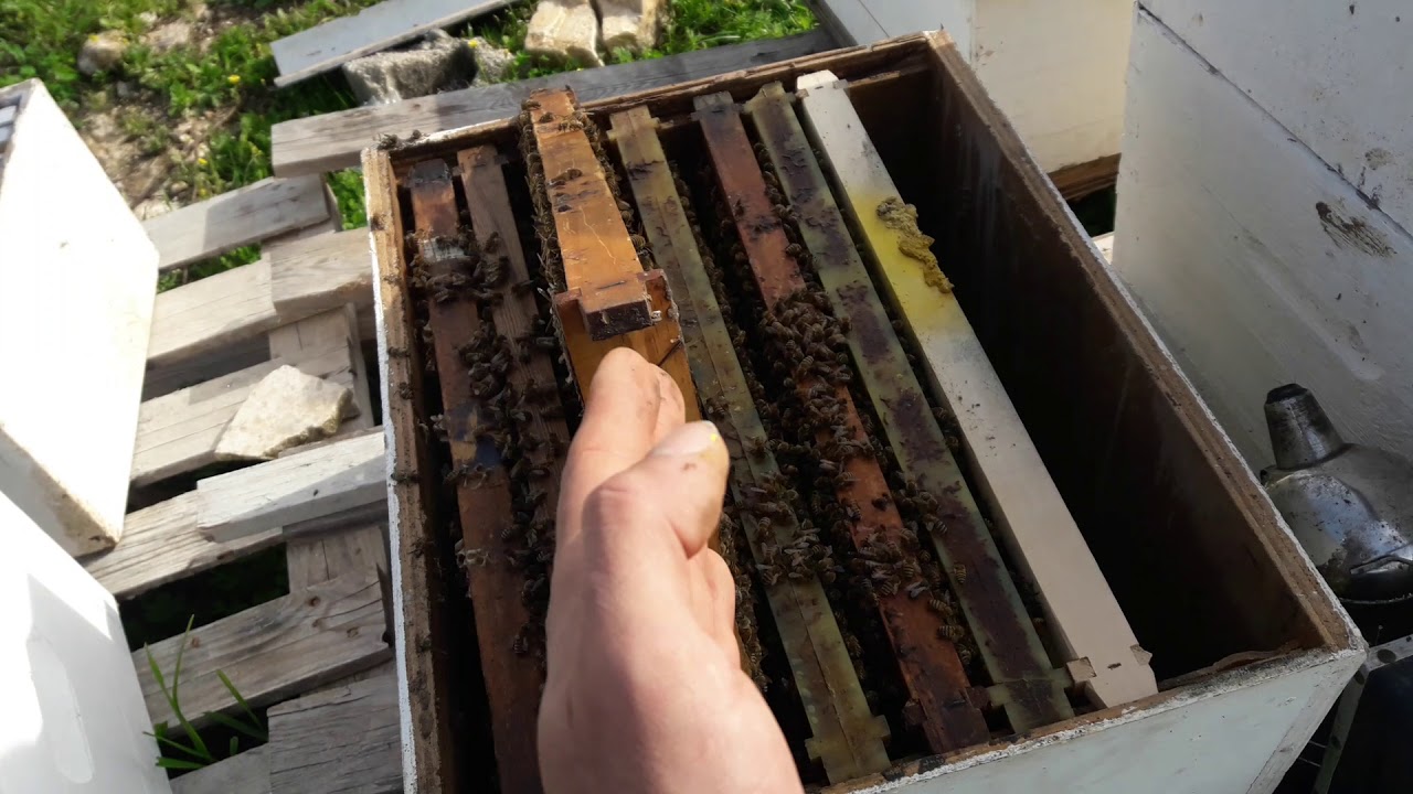 الدرس الرابع:: التوسع الأفقي للطرود أو للخلية اقل من ٨ أيطارات