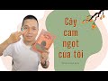 Cây cam ngọt của tôi I Review sách hay