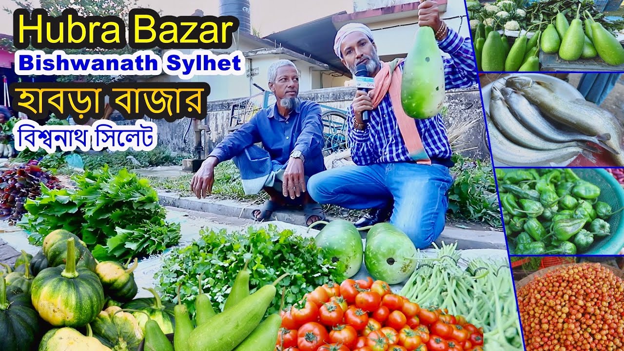 Amazing Haat Market in Sylhet Bishwanath Habra Bazar |  হাবড়া বাজার বিশ্বনাথ সিলেট