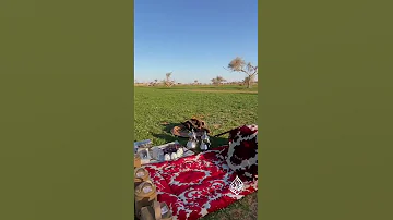 الفرصة السانحة بادر لها لا تفوت 