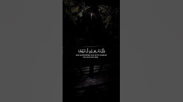 إذ يقول لصاحبه لا تحزن | محمد اللحيدان | سورة التوبة