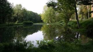Cabin Rentals- Summer Fun and Adventure at Wellnesste Lodge & Riverside Cabins
