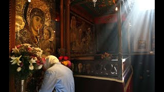 Why do we Venerate the Virgin Mary?