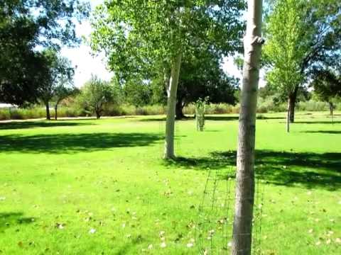 1525 N Guadalupe St, Carlsbad, NM home video tour