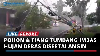 Hujan Deras Disertai Angin Kencang Sebabkan Pohon Dan Tiang Tumbang Di Bondowoso