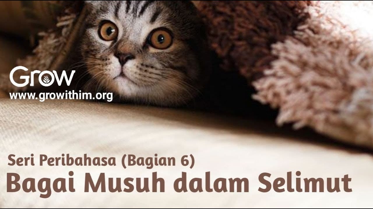 Seri Peribahasa (Bagian 6) Bagai Musuh dalam Selimut YouTube