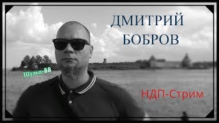НДП-Стрим. В гостях Дмитрий Бобров