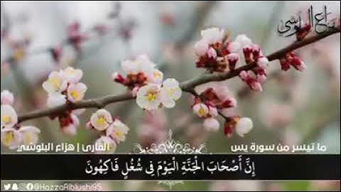 سوره يس - القارئ هزاع البلوشي- حالات واتس