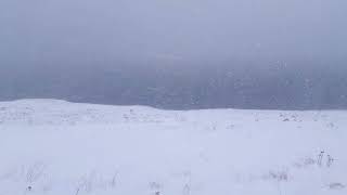 PRANAV RANJIT - Drift I for piano (free improvisation)