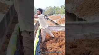 Smart Farmers Use Coconut Waste to Beat Summer Heat!#shortvideo