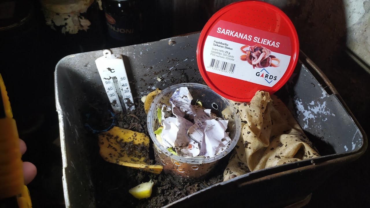 Slieku audzēšana 2.video. Izgatavoju vēl vienu slieku kasti!