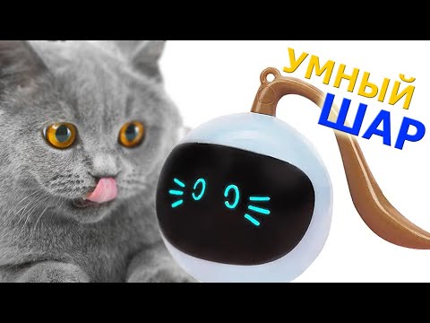 Видео: Игрушка для кошек и собак, мячик робот движущийся с LED подсветкой Pet Ball D48 заряжаемый USB