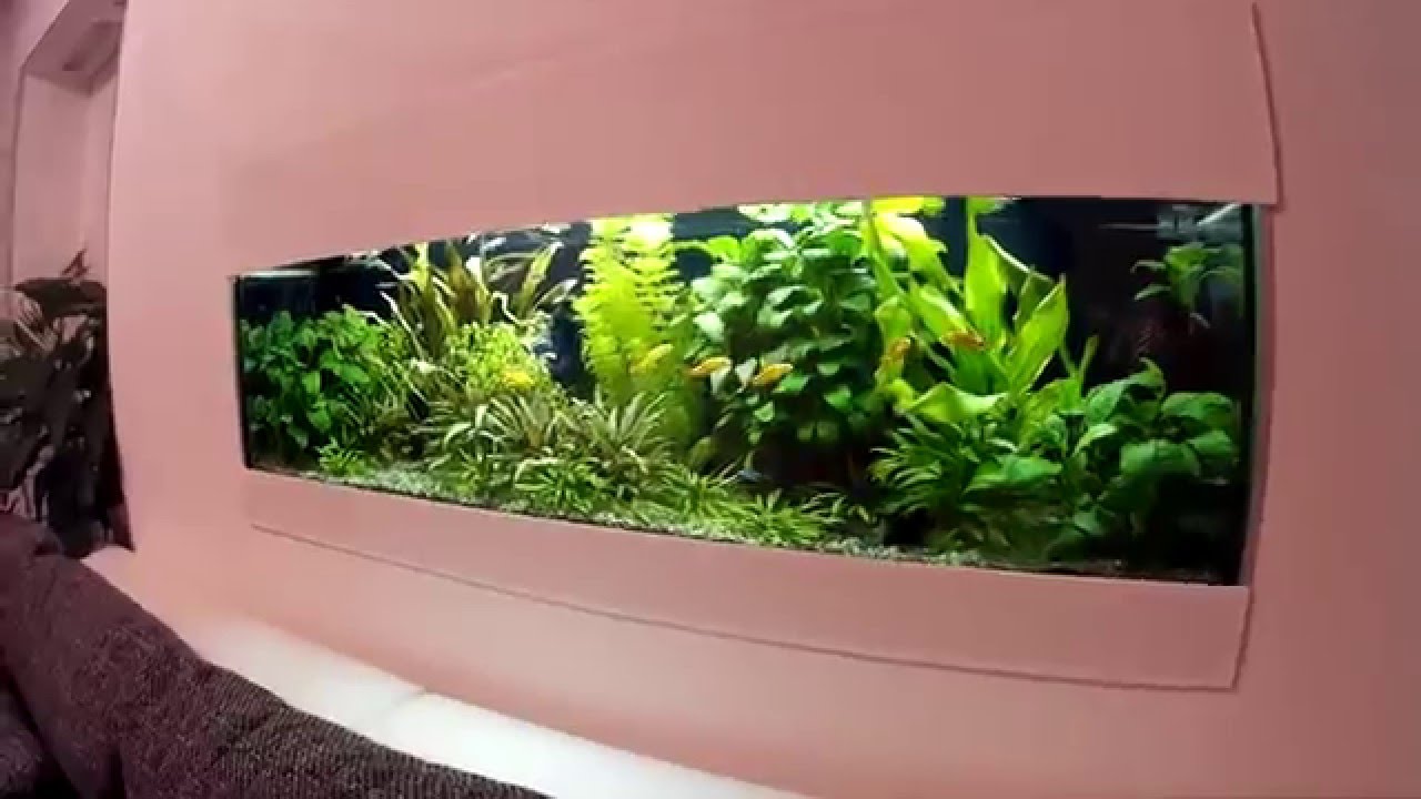 Built-in aquarium plant HD