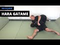 No Gi Judo | 腕挫腹固 | Hara Gatame (Side-extended arm bar)