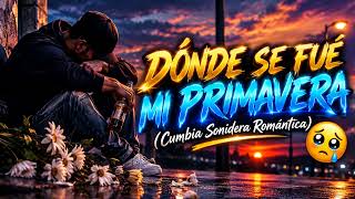🥀💔 DÓNDE SE FUE MI PRIMAVERA | Cumbia Sonidera Romántica 2026