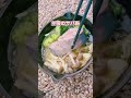 【キャンプ飯】簡単アヒージョ！#shorts