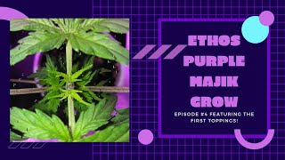 Ethos Grow Episode 4 Featuring The First Topping