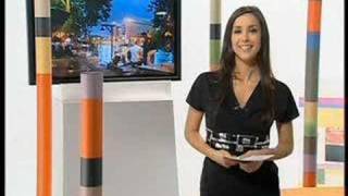 Elise Chaing, Host Of The News Of Arte Channel