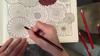 Claire Holoway Colouring - deep red dahlia tutorial - Ivy & the Inky Butterfly (Johanna Basford)