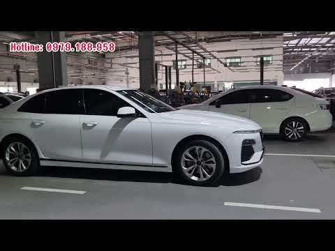 Video Báo giá sơ bộ các dòng xe của VinFast mới nhất cho các... - youtube