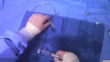 Vascular Access Sheath (Percutaneous Sheath Introducer Set)