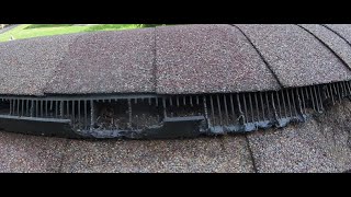 Squirrels Chewing on Plastic Part of Ridge Vent | Keep Squirrels Out of Ridge Vent
