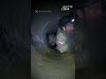 🚨 ¡Insólito video viral en el frente de Járkov! | #ucrania