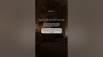 سورة ق بترتيل عراقي آسر ❤️ أحمد النفيس حالات واتس