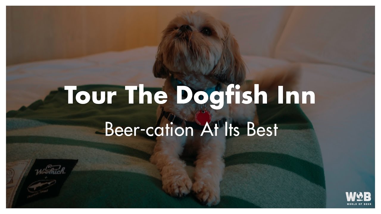 A Tour of the Dogfish Inn