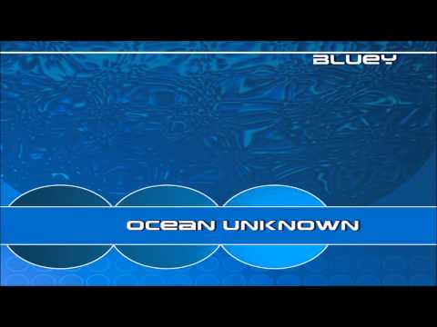Bluey — Bluey - Something Happened