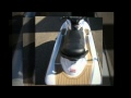 Installing Teak Flooring Is Easy Installing Teak Flooring Is Easy