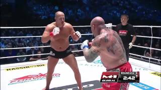 The Best Fedor Emelianenko Mma Highlight