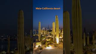 Mala-California desert ng Dubai. #cactus #burjkhalifa