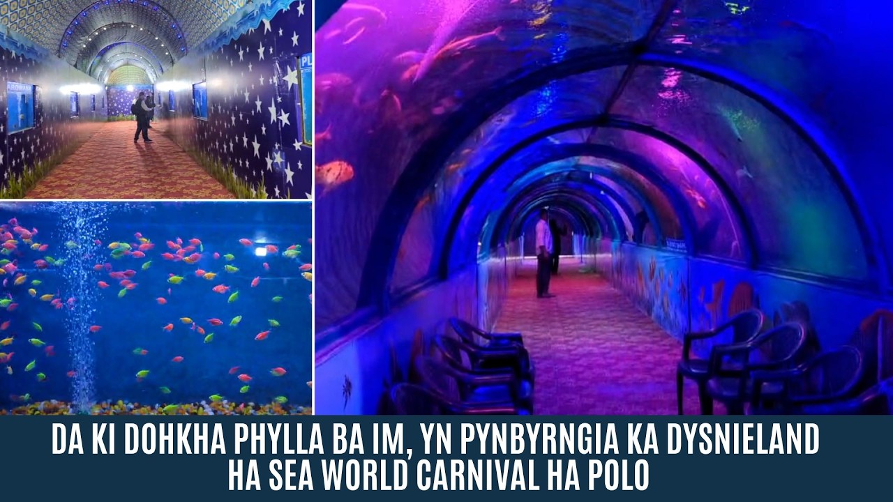 DA KI DOHKHA PHYLLA BA IM, YN PYNBYRNGIA KA DYSNIELAND HA SEA WORLD CARNIVAL HA POLO