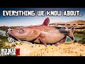 Legendary Channel Catfish Explained (Red Dead Redemption 2)