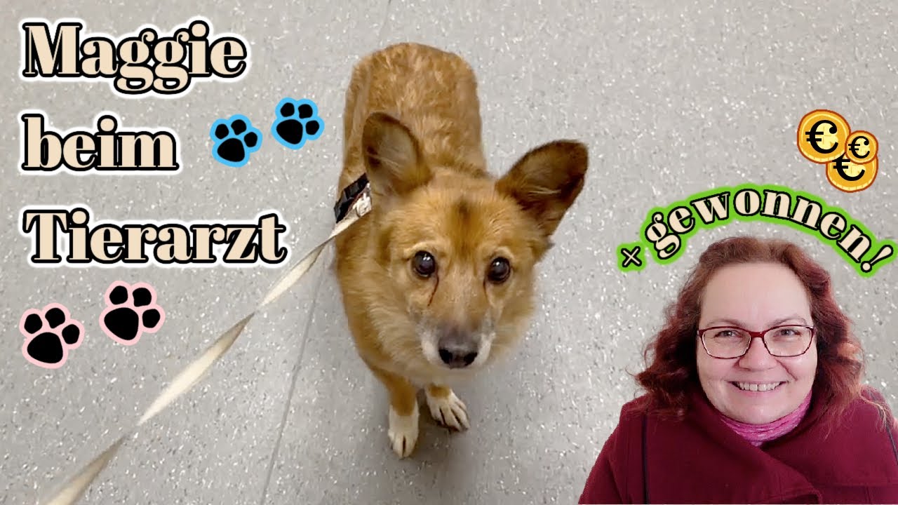 GEWONNEN! Zumindest ein bisschen was 🥳 Update Maggie - Tierarzt - große OP steht an! 🐕