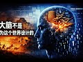 从苏美泥板到AI:人类如何被自己的记忆逼到极限