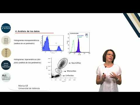 Vídeo: ProMAD: Medición Densitométrica Semicuantitativa De Microarrays De Proteínas