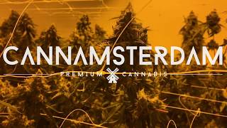 CANNAMSTERDAM - Licensed Cultivation Facility Teaser