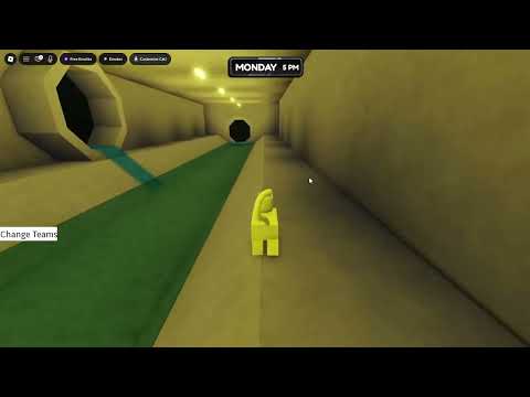 The Cat Shelter Roblox How to Escape