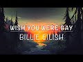 Billie Eilish - wish you were gay | Türkçe Çeviri