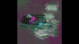 Clarity (Corrupted Memory Beyond Great Compression) Net Worth