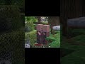 Minecraft'ın Karanlık Yüzü: Bu Köylülere Ne Olmuş?!