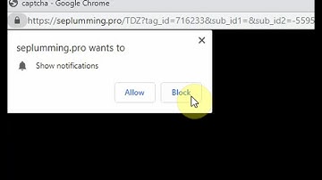 How to REMOVE "SEPLUMMING PRO" ADS virus?