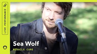 Sea Wolf &quot;Miracle Cure&quot; (live): South Park Sessions